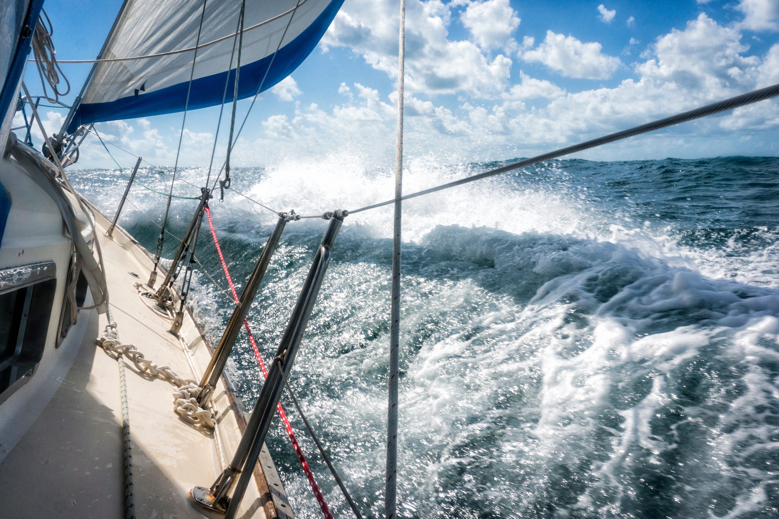 AdobeStock 323554627